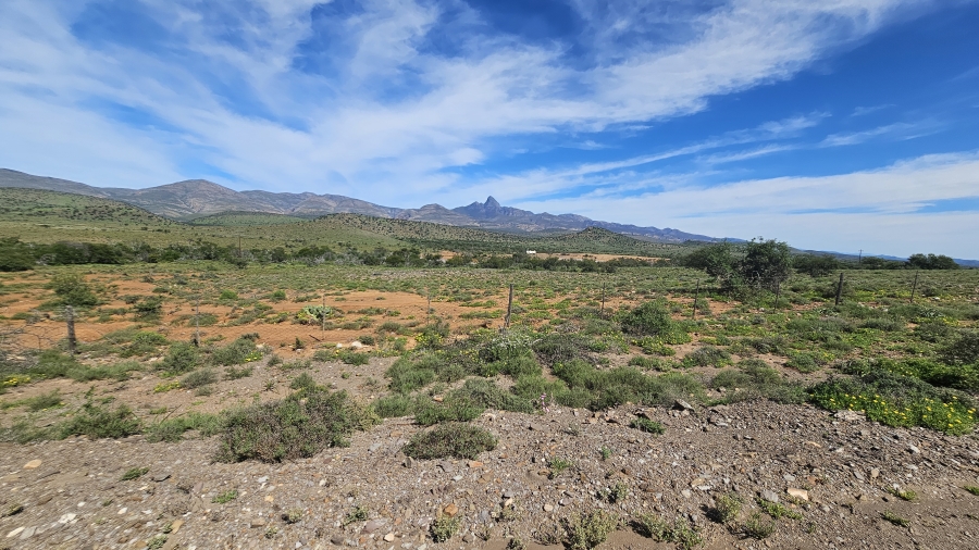 4 Bedroom Property for Sale in Uitenhage Rural Eastern Cape